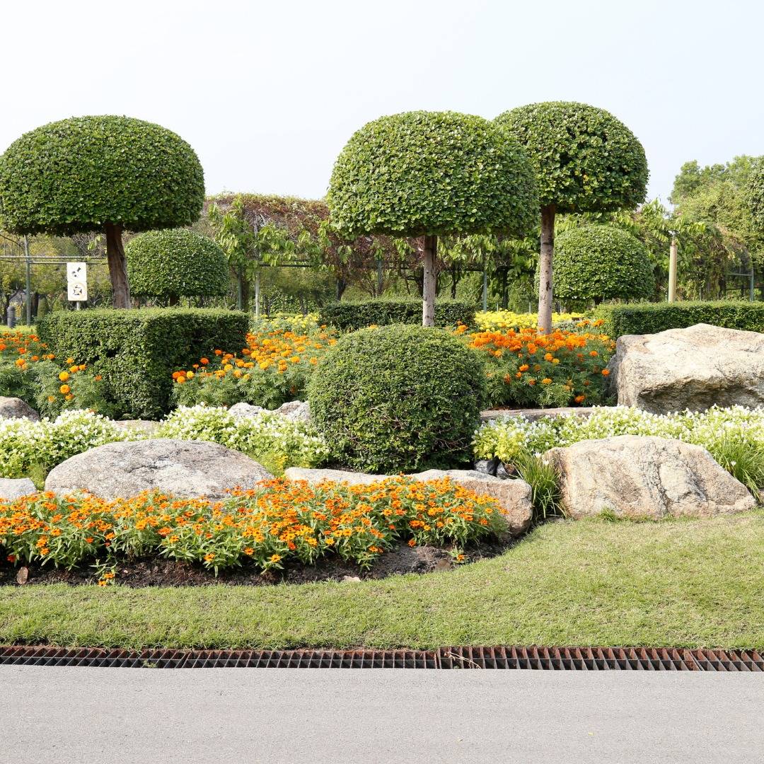 481274010 628363009952622 3624972414780417791 N