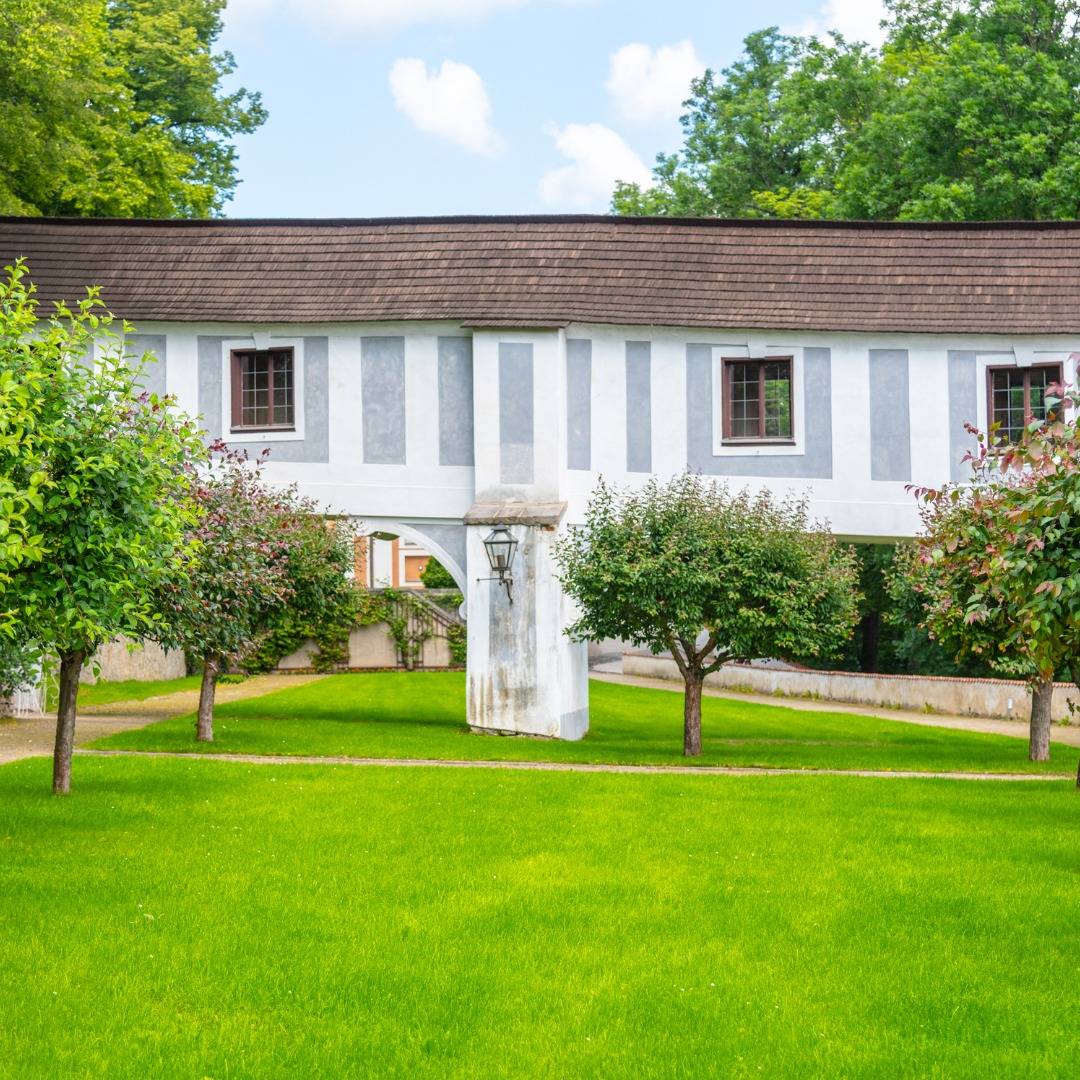 481780207 627516020037321 3752104482591715267 N