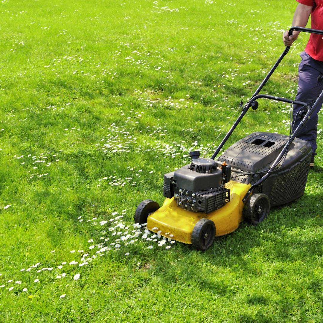 482009606 628369066618683 1631850685300114112 N