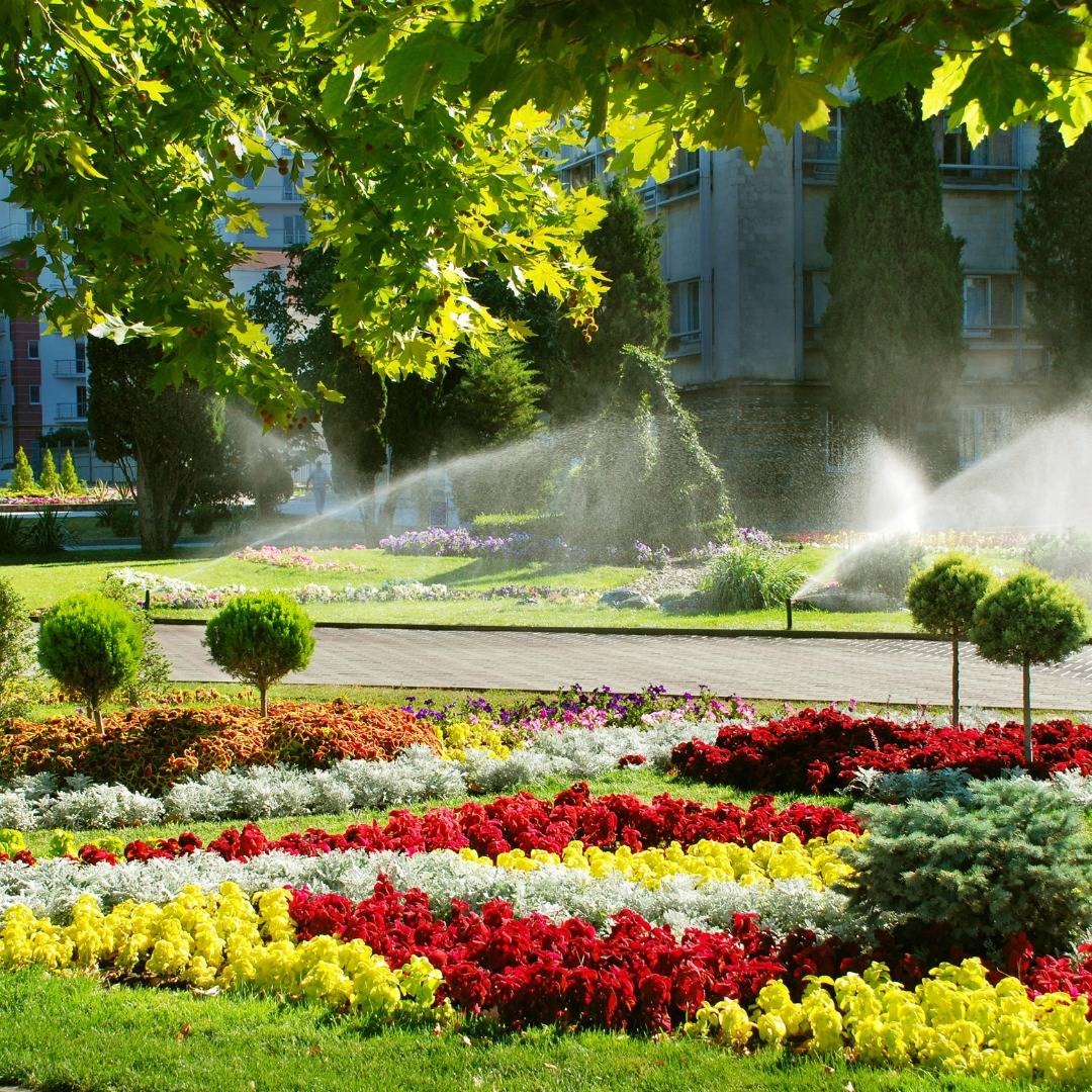 482030384 631844162937840 7205709968652524428 N