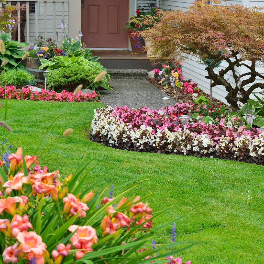 482223671 628347883287468 3601523305294566901 N