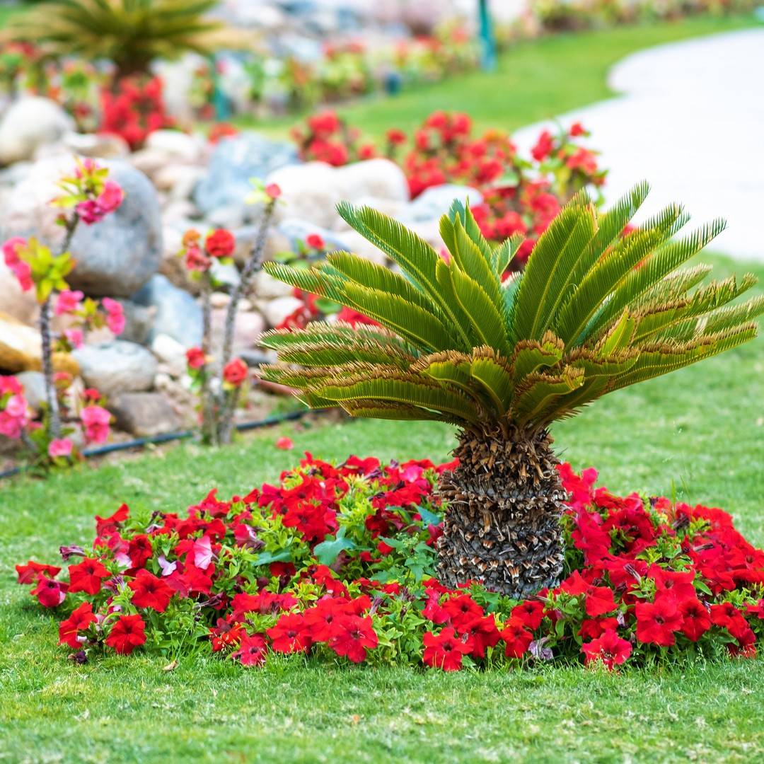 484540686 631376386317951 7937519325144972631 N