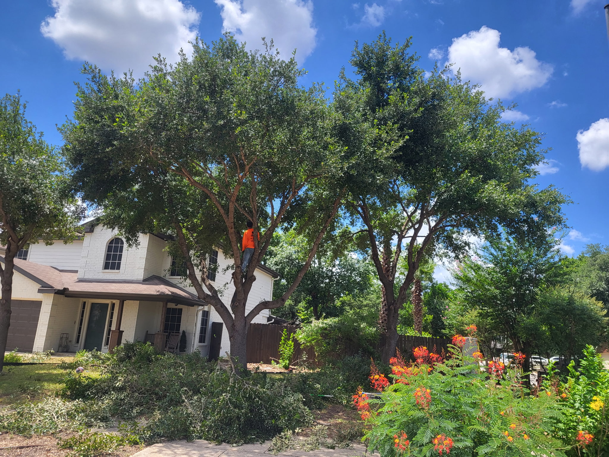 Client Provided (10)