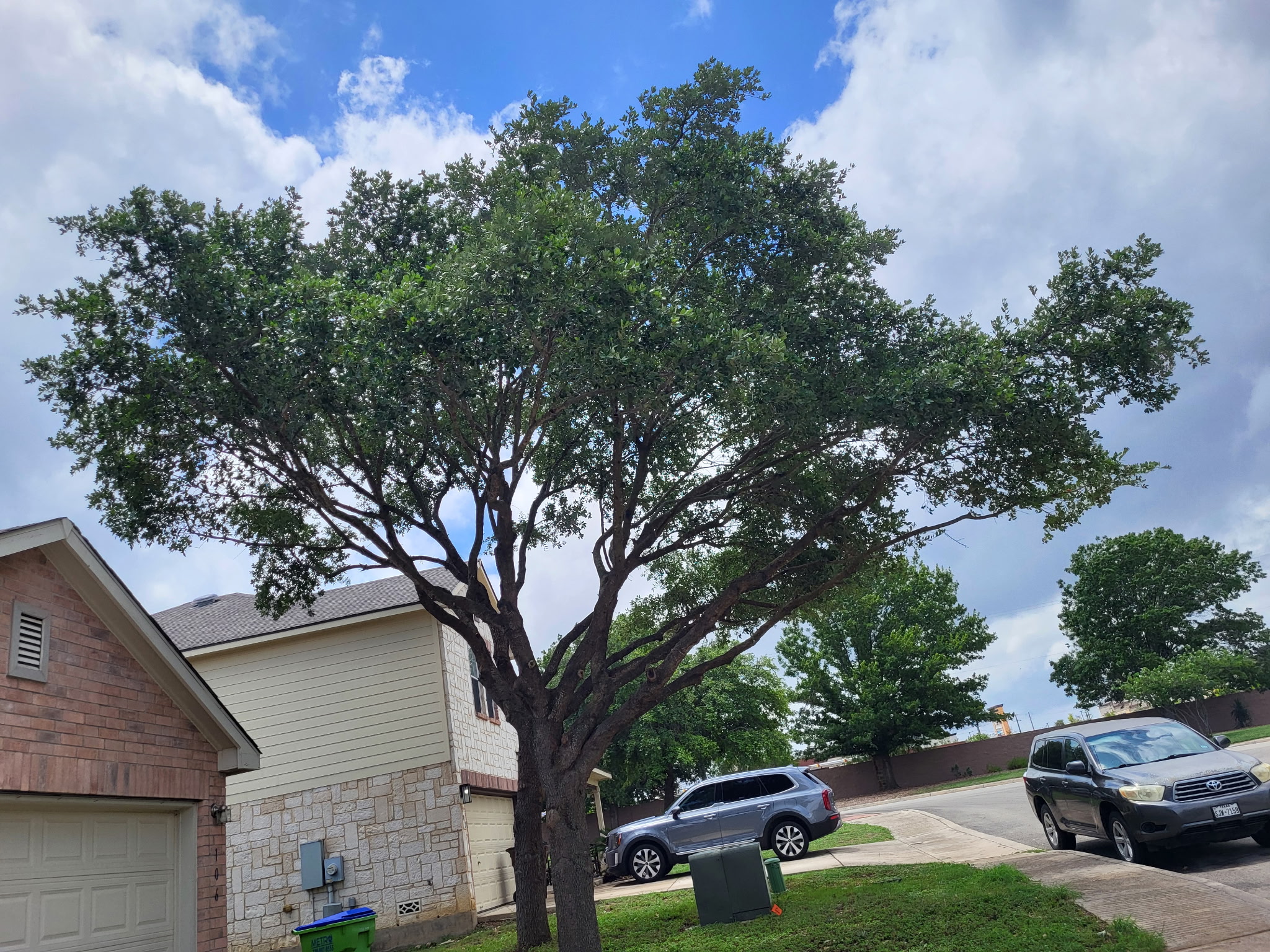 Client Provided (12)