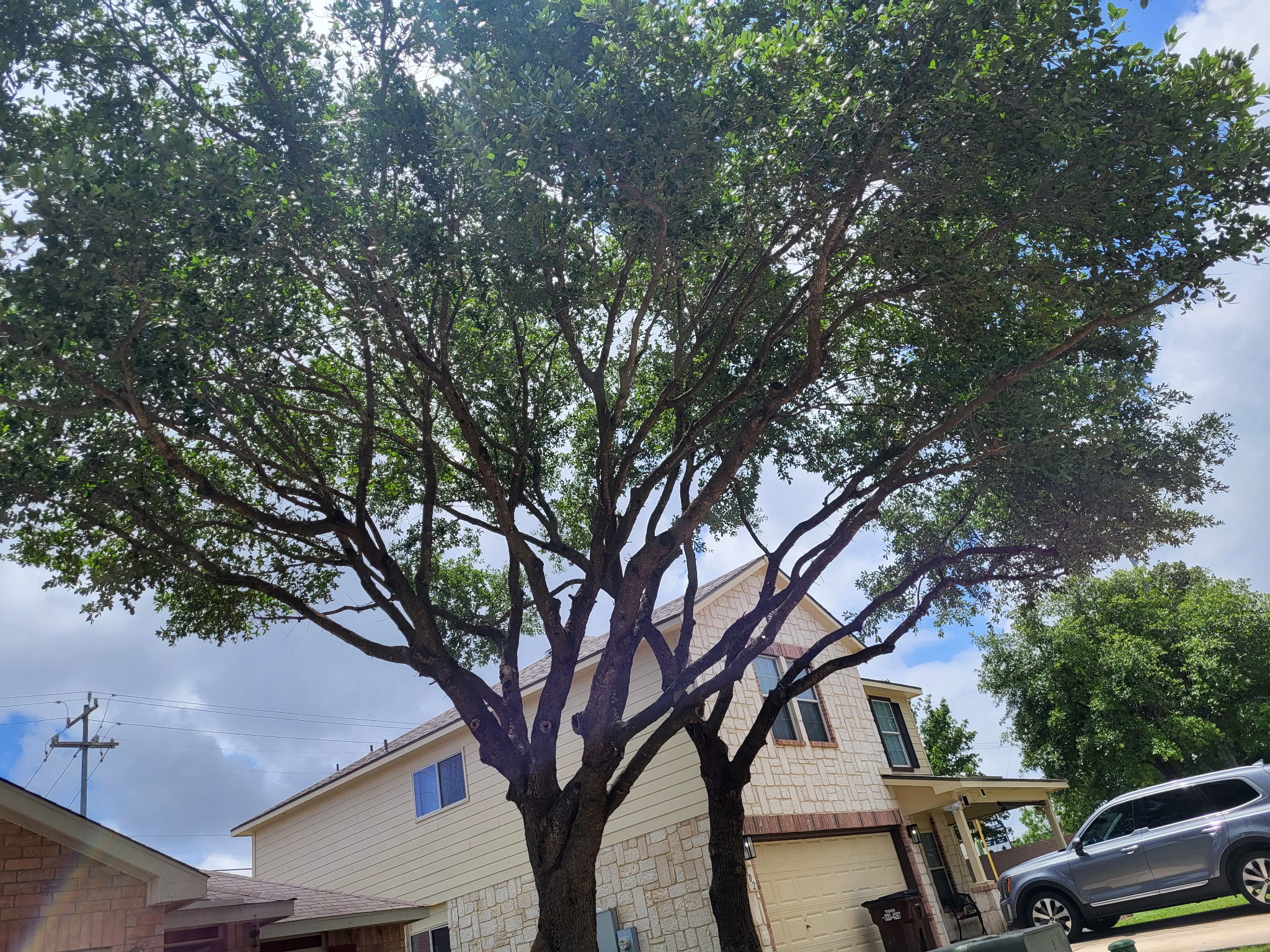 Client Provided (13)