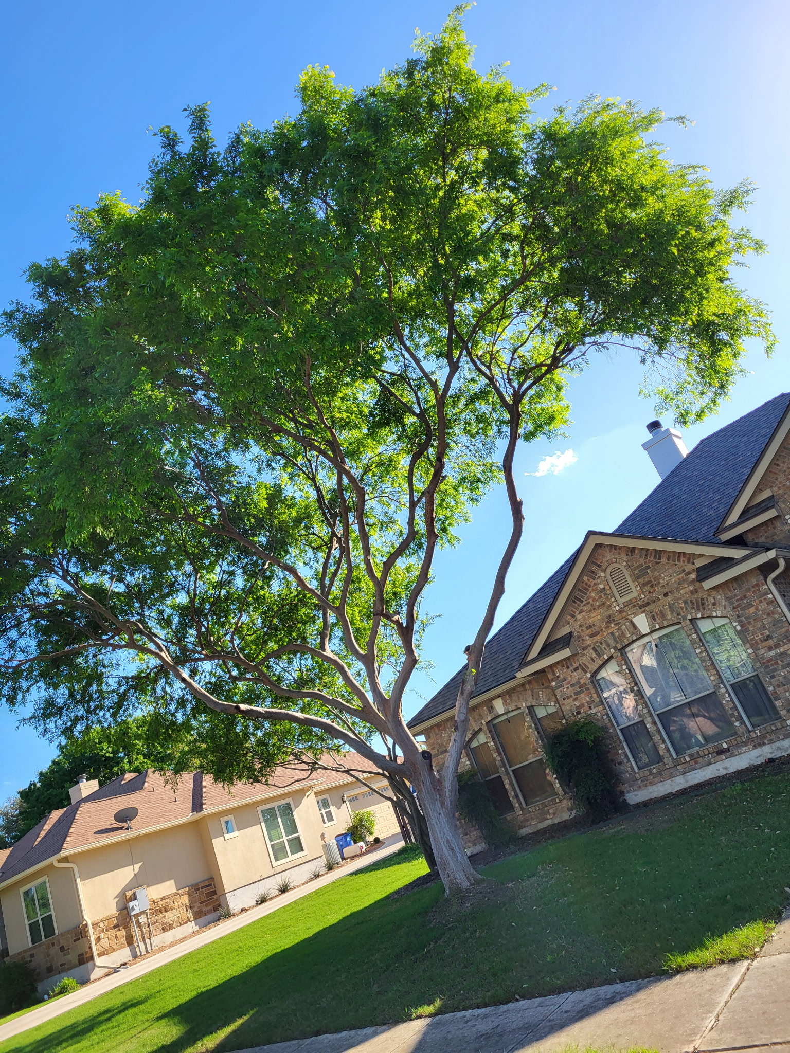 Client Provided (14)