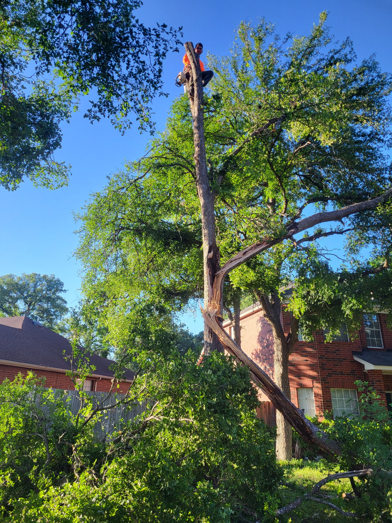 Client Provided (15)