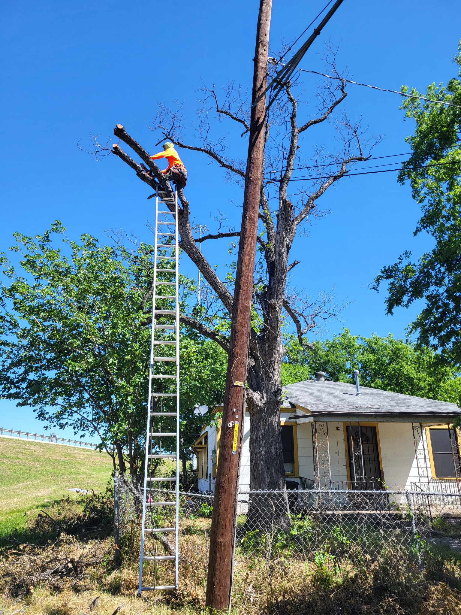 Client Provided (16)