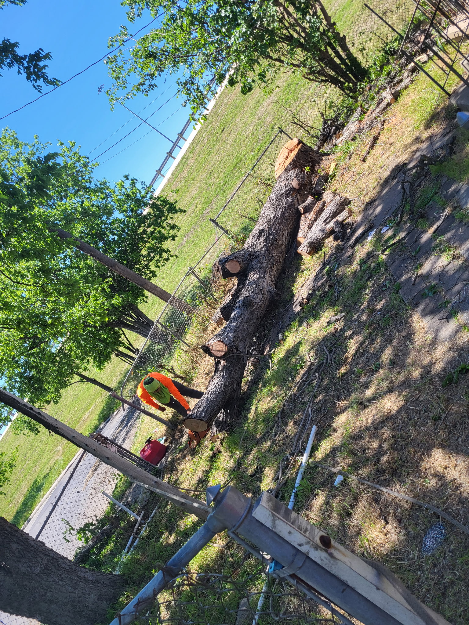 Client Provided (18)