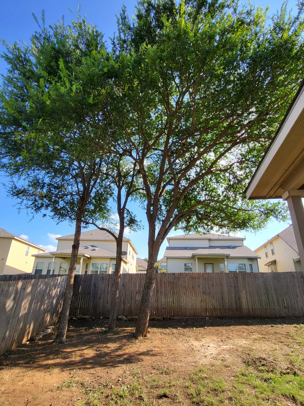 Client Provided (21)