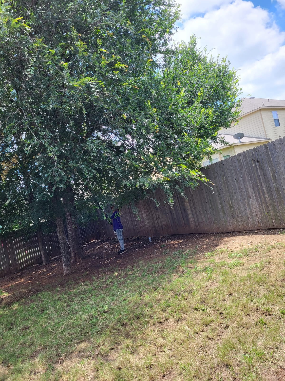 Client Provided (22)