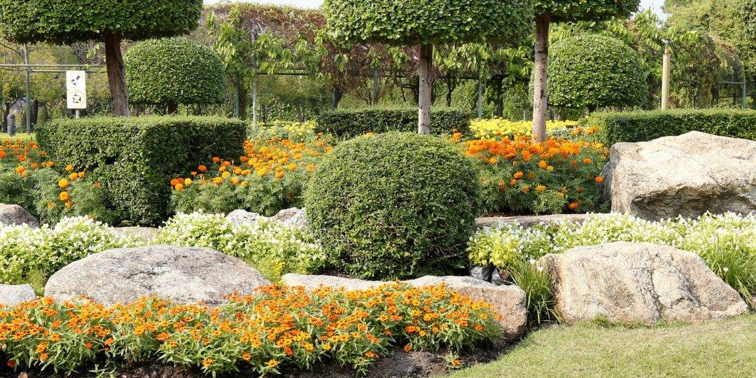 481274010 628363009952622 3624972414780417791 N