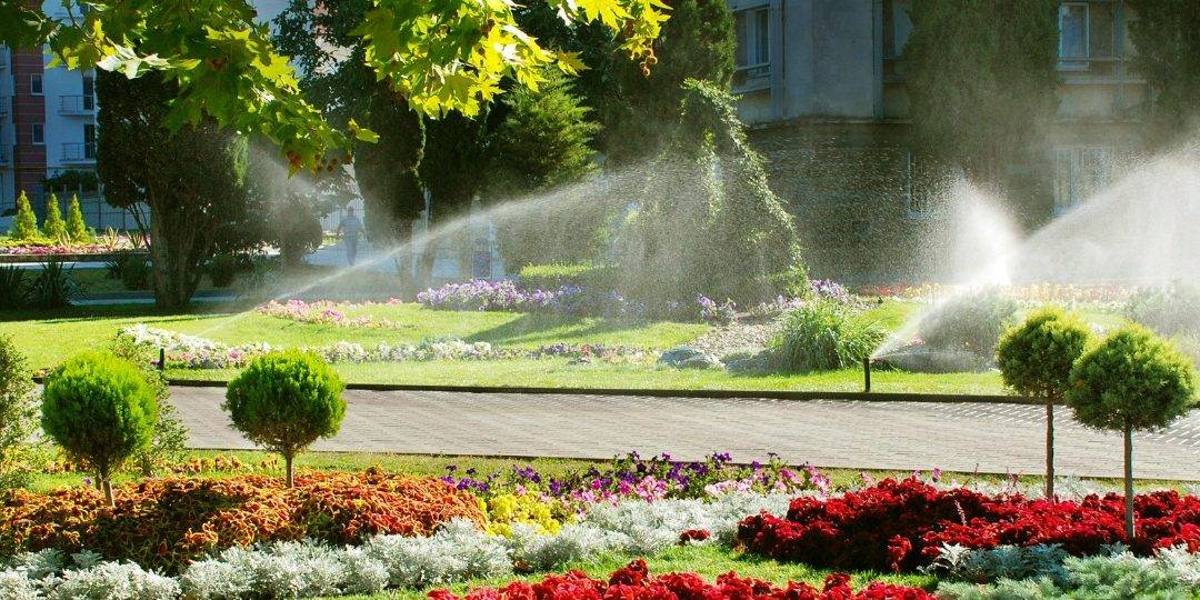 482030384 631844162937840 7205709968652524428 N